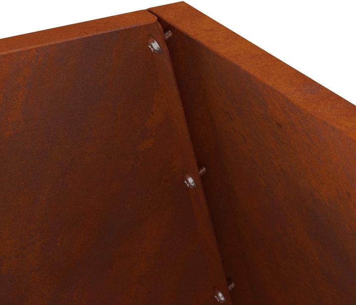 Image du produit vidaXL Holzfeuerstelle