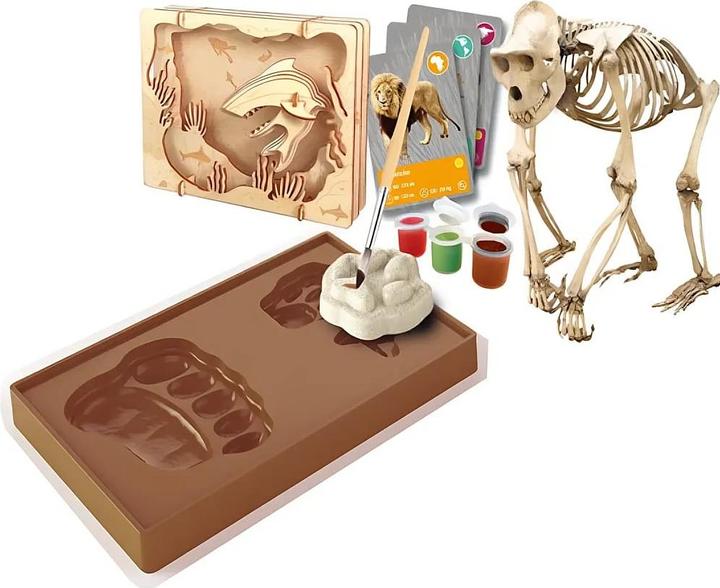 Image du produit Clementoni Kit de découverte "Les animaux de notre planète