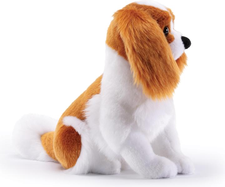 Actual product image Trudi Classic plush dog Cavalier King 16 x 27 x 30 cm (M), high-quality soft toy with soft material (30 cm)