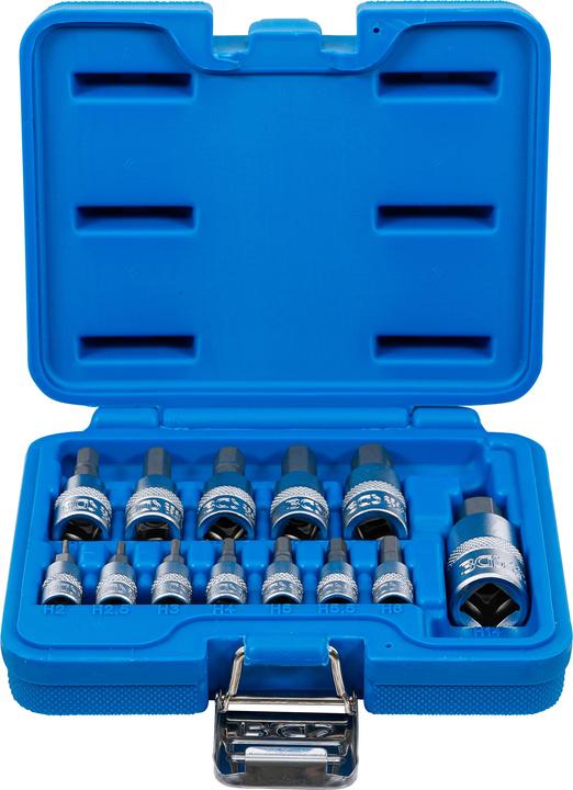 Productafbeelding BGS Bits insert set (6 mm, 5,5 mm, 7 mm, 3 mm, 5 mm, 10 mm (binnenzeskant), 10mm, 8 mm, 2,5 mm, 9 mm, 2 mm, 12,0 mm, 4 mm)