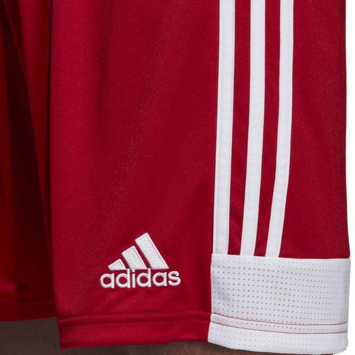 Actual product image Adidas Tastigo 19 Shorts (M)