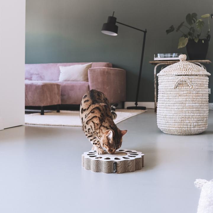 Image du produit District 70 Jouet pour chats Plateau de jeu Sunny Black, 32 x 32 x 6 cm (Canne à pêche chat)