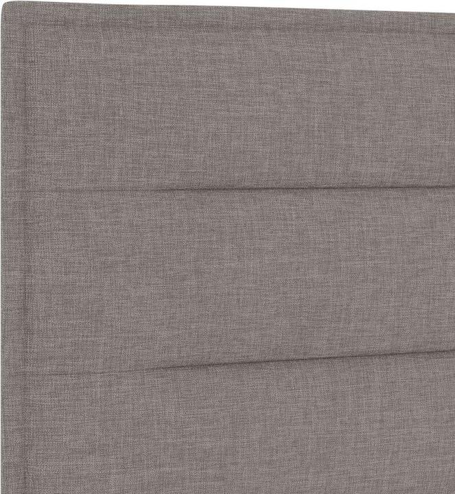 Image du produit vidaXL Plattformbett (120 x 200 cm)