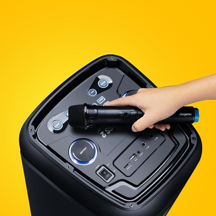 Actual product image Niceboy PARTY Boss 2 (200W) (8 h)