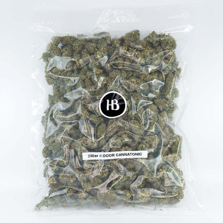 Produktbild Herba di Berna Cannatonic (250 g, Indoor)