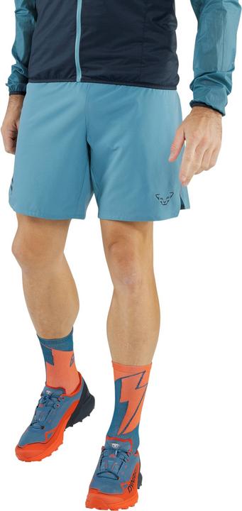 Produktbild Dynafit Alpine Shorts (XXL)