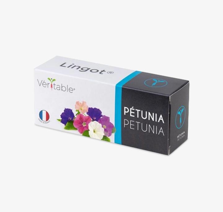 Actual product image Véritable Dwarf petunia (Herb seeds)