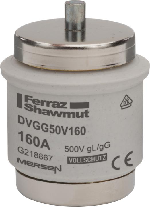 Actual product image LIN 596 2007 Fuse DIV 200A slow-blow (200 A)