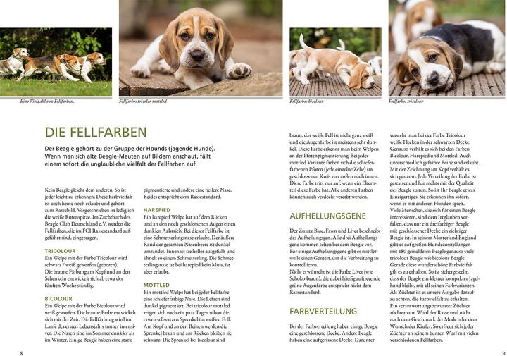Image du produit Kosmos Beagle (Allemand, Ursula Christian, 2024)
