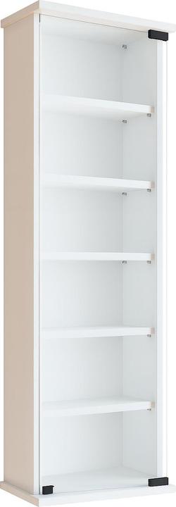 Produktbild VCM Holz CD DVD Wandregal Loposa mit Glastür (31 x 18 x 92 cm)