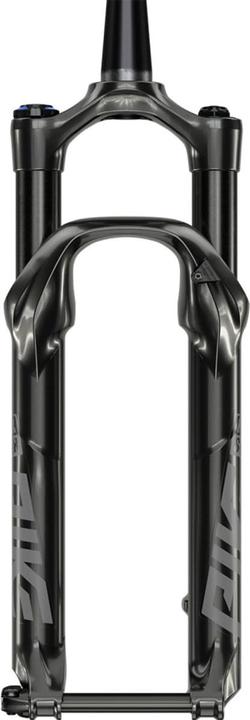 Actual product image RockShox Pike DJ (100 mm, Air)