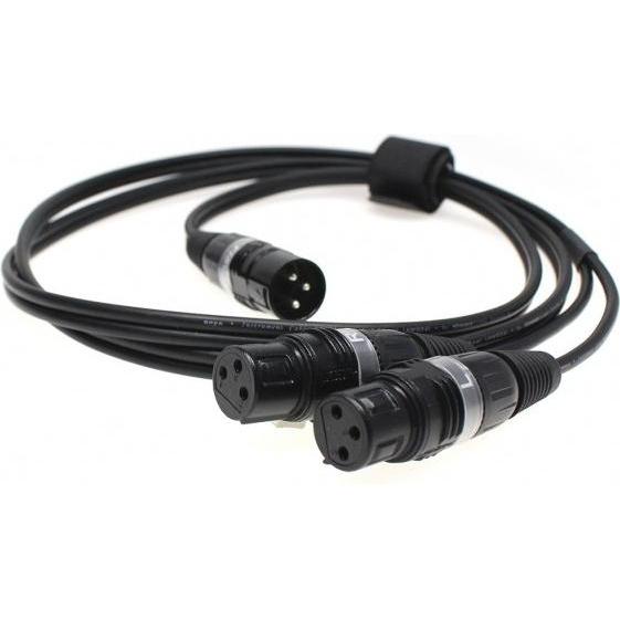 Fischer Amps XLR Adapterkabel für In Ear Stick / Mini Body Pack (1.60 m, XLR), Audio Kabel