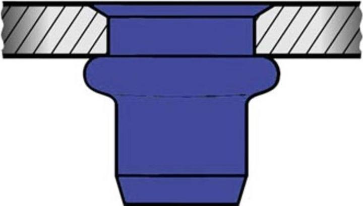 Actual product image Gesipa Blind rivet nut