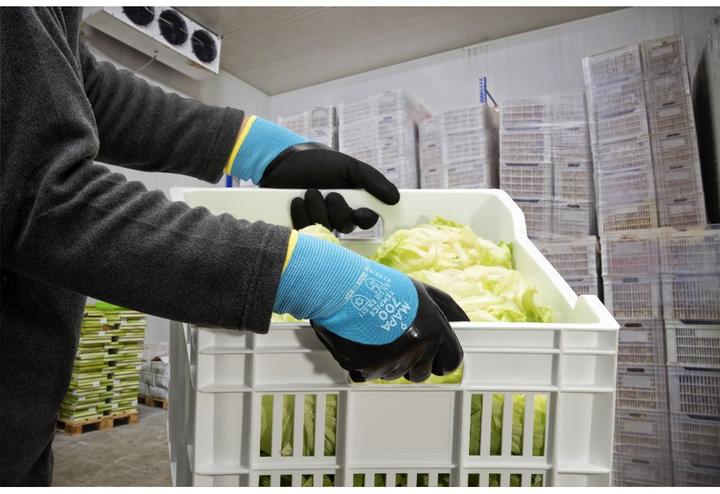 Actual product image Mapa Temp Ice 700 size 9 (9)