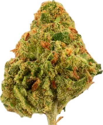 Image du produit Green Passion Amnesia Haze Popcorn (10 g, Intérieur)