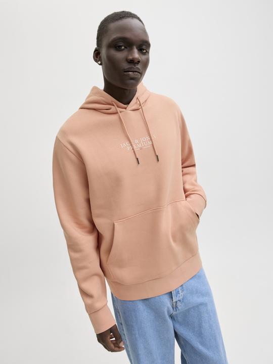 Actual product image Jack & Jones Jprbluarchie Sweat Hood Noos (XL)