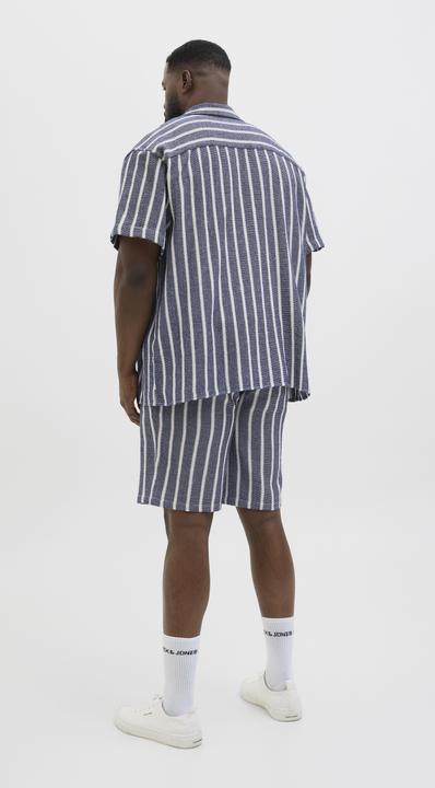 Produktbild Jack & Jones Jpstjaiden Coba Stripe Jog Short Sn Pls (46)