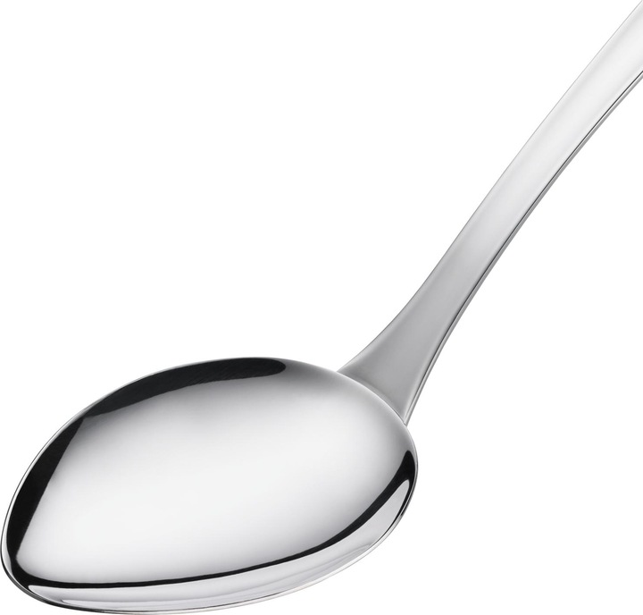 Actual product image WMF Serving spoon Profi Plus (Serving spoon)