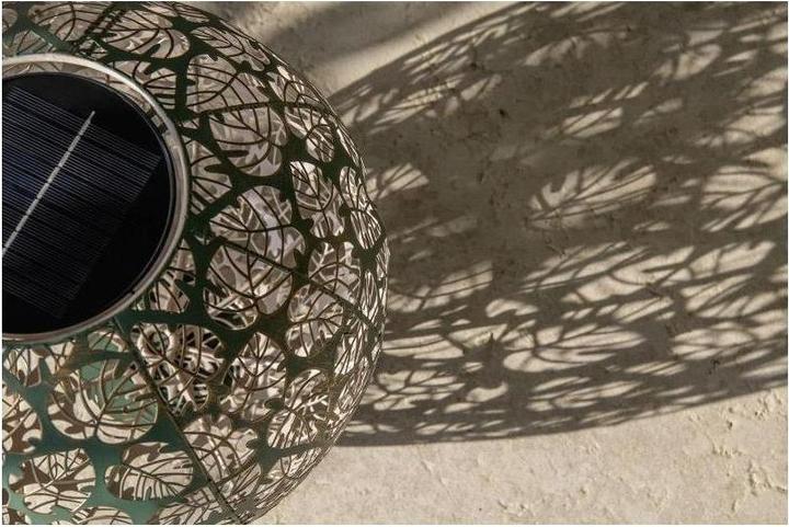 Image du produit STT Monstera