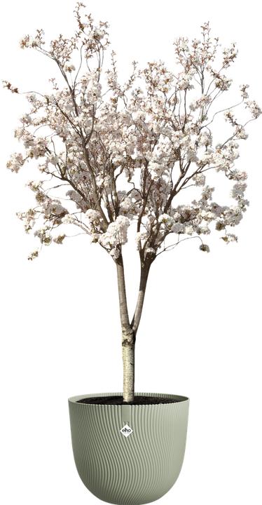 Actual product image Elho Sereh Rund (47 cm)