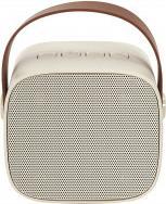 Actual product image Party karaoke design speaker and microphone