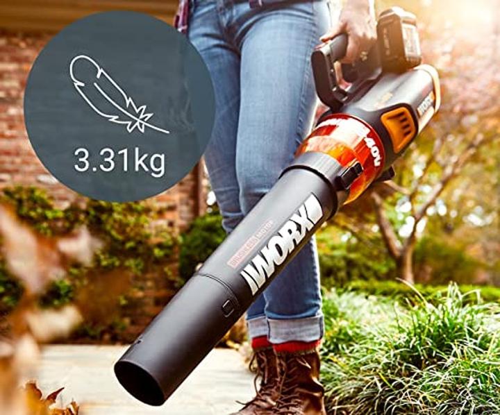 Actual product image Worx WG584E.9 (Rechargeable battery operated, Leaf blower)