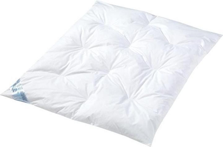 Productafbeelding Julius Zöllner Quilt, veren/dons (100 x 135 cm)