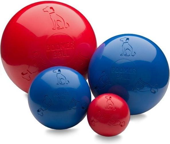 Actual product image Company of Animals Boomer Ball (Ball toy dog)