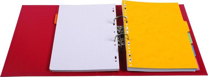 Actual product image Exacompta PVC Premium (A4, 50 mm, 1 Piece)