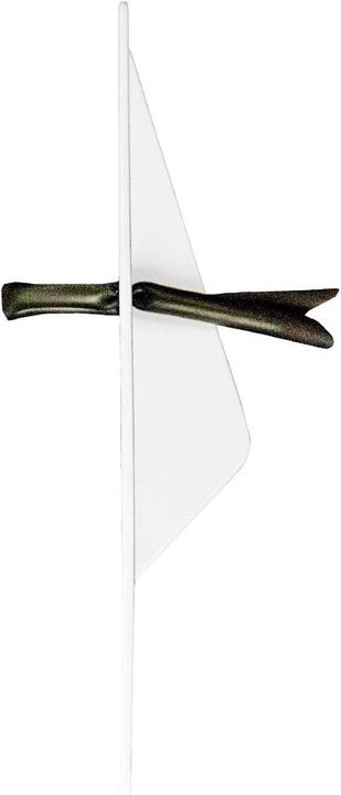 Actual product image Finis Freestyler