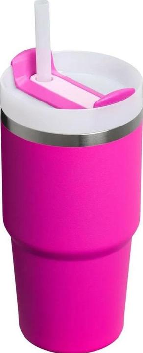 Actual product image Stanley 1913 Quencher H2.0 (0.60 l)