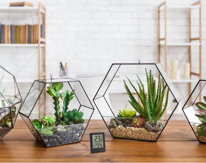 Produktbild TFA Thermo-Hygrometer Set