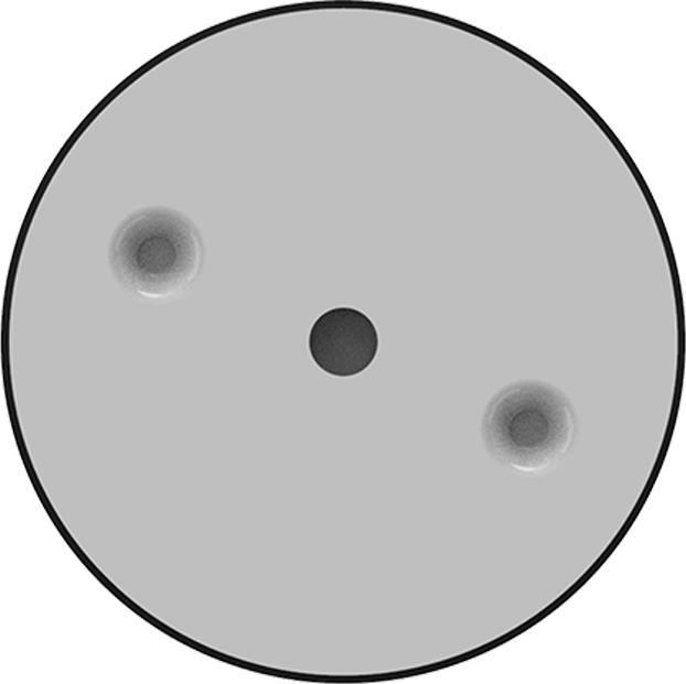 Image du produit KnockautX Variateur rotatif sans fil