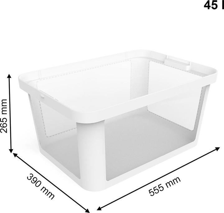 Actual product image Rotho Box ALBRIS (39 cm, 45 l, 1x)