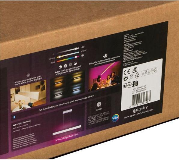 Image du produit Philips Hue Ensis (4750 lm)