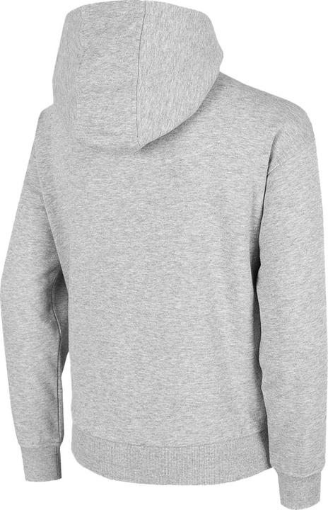 Produktbild 4F HJZ22 JBLM006 27M Kapuzenpullover (146)