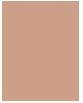 Actual product image Sisley Phyto Complexion Nude No 4C (4C Honey)