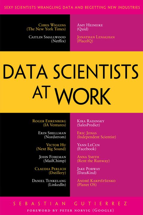 Produktbild Data Scientists at Work (Englisch, Sebastian Gutierrez, 2015)