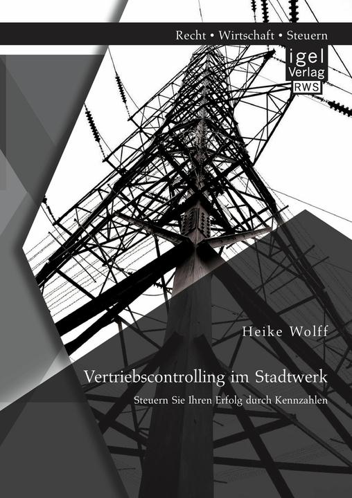 Produktbild Vertriebscontrolling im Stadtwerk: Steuern Sie Ihren Erfolg durch Kennzahlen (Deutsch, 2014)