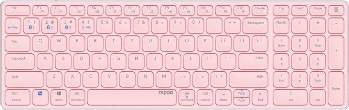 Rapoo E9700M (DE, Sans fil)