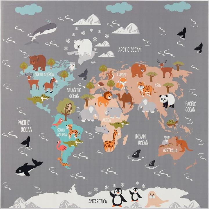 Produktbild TT Home Kinderzimmerteppich Teppich Junge Mädchen Kinderteppich Rutschfest Tiere Erde (200 x 200 cm)