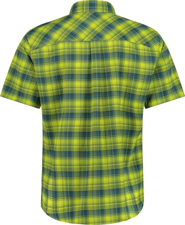 lichene-alpina-acido