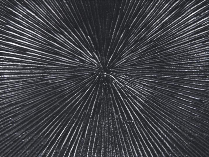 Image du produit Beliani Eucla