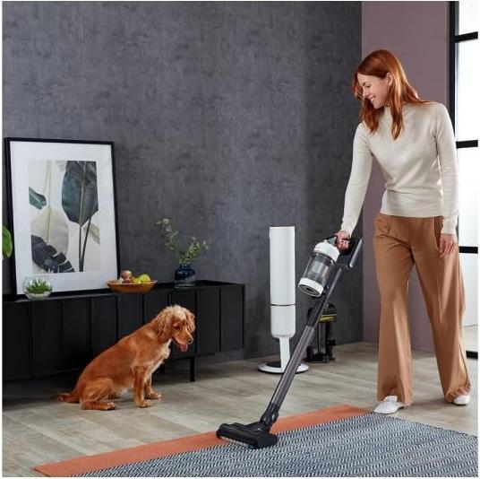 Image du produit Samsung VS20B95C43W/WD Bespoke Jet Plus