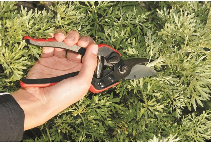 Produktbild Felco Klauenscheren