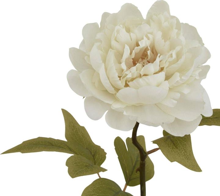 Produktbild Hill Interiors Kunstblume