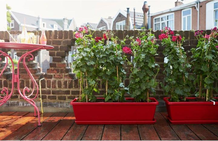 Image du produit Elho Barcelone