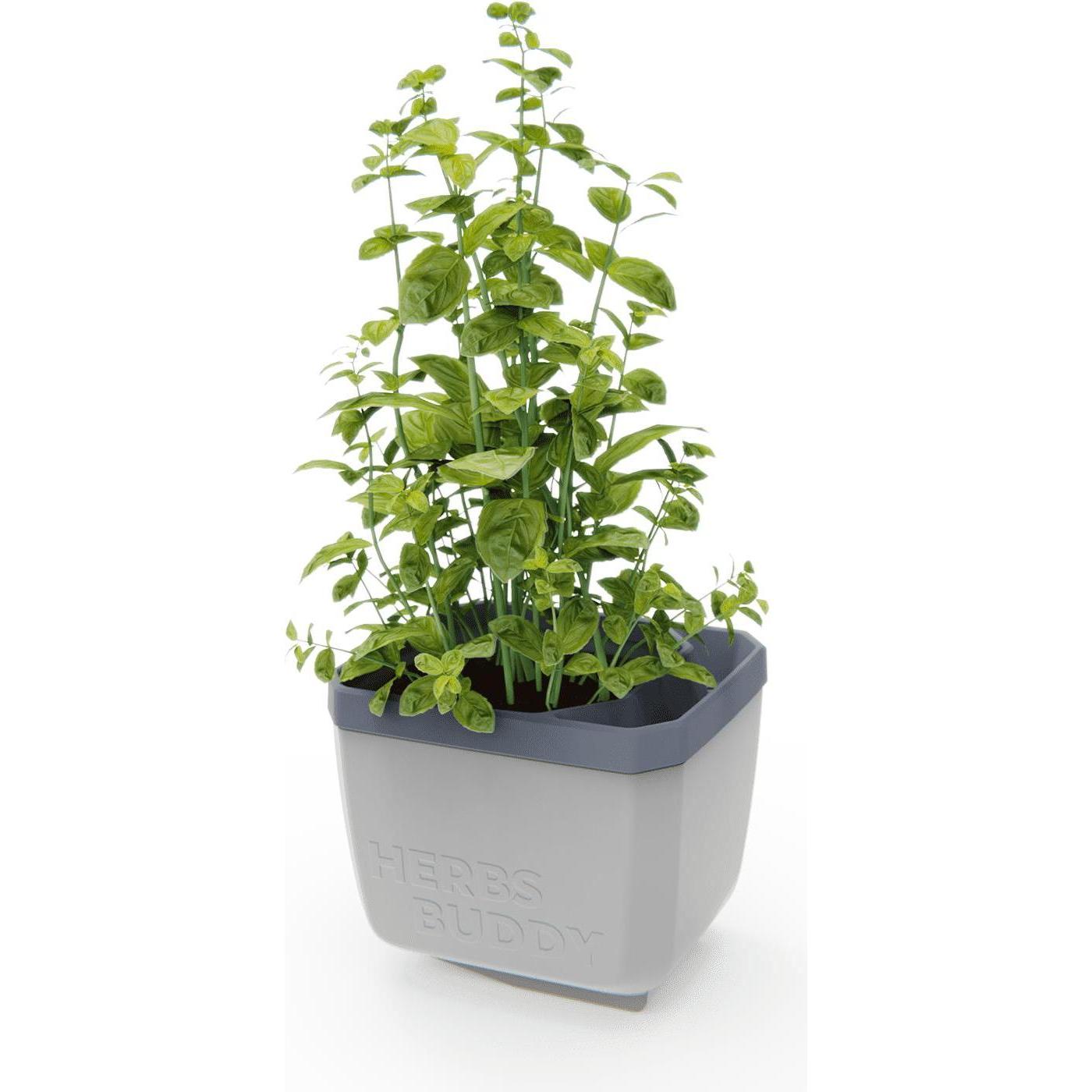 Thumbnail - Gusta Garden, Blumentopf, HERBS BUDDY Kräutertopf Grau/Hellgrau (16.30 cm)