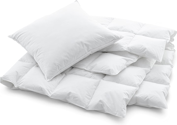 Immagine prodotto Swiss Dream by billerbeck Cuscino Piuma (50 x 90 cm)