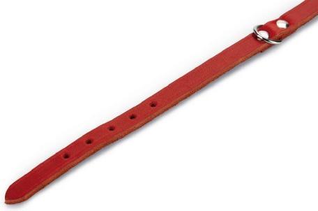 Produktbild Beeztees BZ LEDERHALSBAND ROT 27X10 (27, Hund, Hundesport)